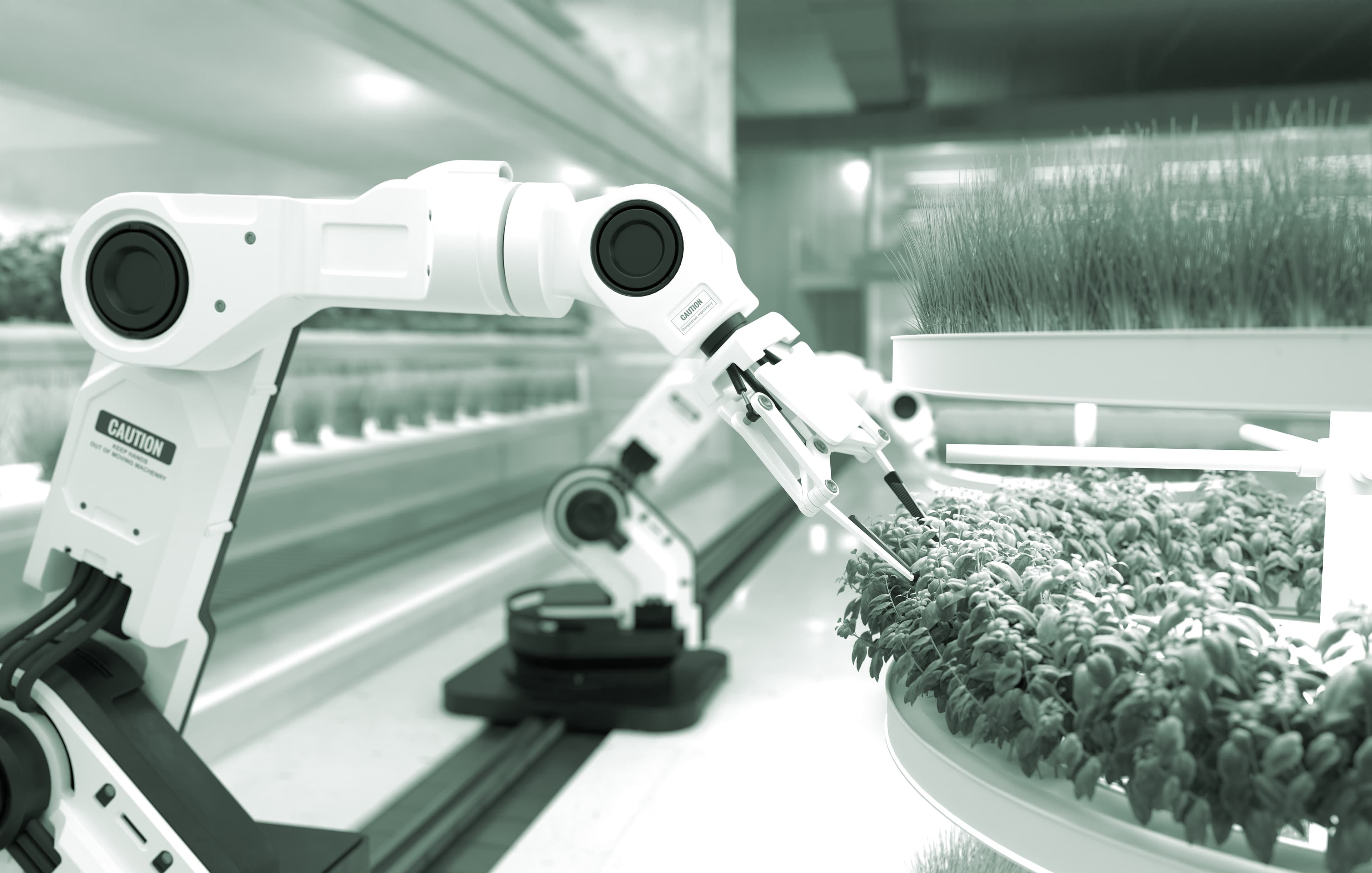 Robotic arm in agriculture